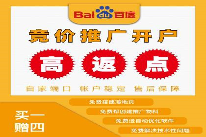 百度搜索推广实战技巧：成功案例启示录